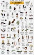Mac'S Laminated Field Guide To Garden Bugs Of California