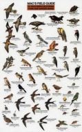Mac'S Laminated Field Guide To Southern California Park And Garden Birds