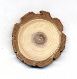 Walnut (Black) Tree Round