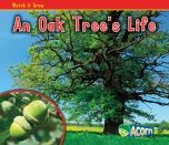 Oak's Life, An (Watch It Grow Series)