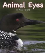 Animal Eyes (Animal Senses & Anatomy Series)
