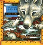 Arctic Tundra (One Small Square Series)