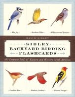 Sibley Backyard Birding Flash Cards: 100 Common Birds of Eastern and Western North America