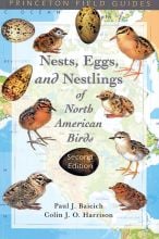 Nests, Eggs, and Nestlings of North American Birds