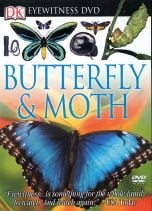 Eyewitness Butterfly & Moth (DVD)