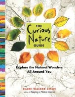 Curious Nature Guide (The): Explore the Natural Wonders All Around You
