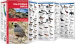 California Birds (Pocket Naturalist® Guide)