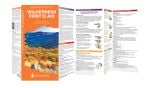 Wilderness First Aid (Pathfinder Outdoor Survival Guide™)