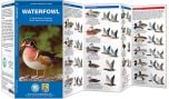 Waterfowl (Pocket Naturalist® Guide)