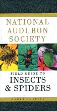 Field Guide to Insects & Spiders (National Audubon Society®)