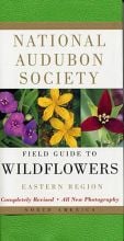 Field Guide to Wildflowers, Eastern Region (National Audubon Society®)