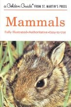 Mammals (Golden Guide®)