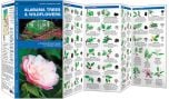 Alabama Trees & Wildflowers (Pocket Naturalist® Guide)