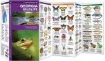 Georgia Wildlife (Pocket Naturalist® Guide)