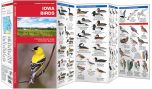 Iowa Birds (Pocket Naturalist® Guide)