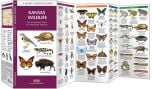 Kansas Wildlife (Pocket Naturalist® Guide)