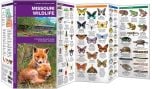 Missouri Wildlife (Pocket Naturalist® Guide)