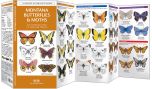 Montana Butterflies & Moths (Pocket Naturalist® Guide)