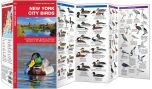 New York City Birds (Pocket Naturalist® Guide)