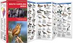 South Carolina Birds (Pocket Naturalist® Guide)