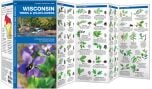 Wisconsin Trees & Wildflowers (Pocket Naturalist® Guide)