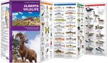 Alberta Wildlife, 2nd Edition (Pocket Naturalist® Guide)