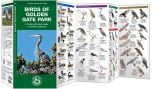 Birds of Golden Gate Park (Pocket Naturalist® Guide)
