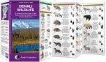 Denali Wildlife (Pocket Naturalist® Guide)