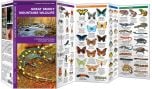 Great Smoky Mountains Wildlife (Pocket Naturalist® Guide)