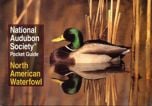 North American Waterfowl (National Audubon Society® Pocket Guide)