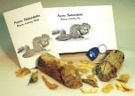 Beaver Clues (Animal Signatures Discovery Kit®)