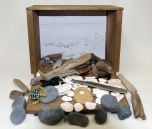 Seashore Diorama (Create-A-Scene® Habitat Diorama Kit)