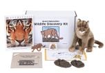 Wildlife Discovery® Kit: Cougar
