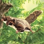 Squirrel (Flying) Puppet