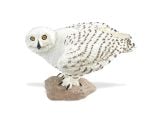 Owl (Snowy) Model