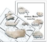 Animal Tooth Casts Activity Kit
