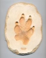 Wolf (Gray) Track Cast (Large Plaque)