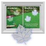 Bird-Saving Window Decal Pack (Maple Leaf-Shaped)