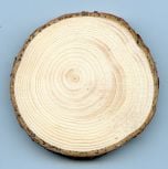 Cedar (Incense) Tree Round