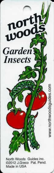 Garden Insects Keychain Identification Guide