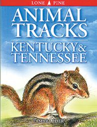 Animal Tracks: Kentucky & Tennessee (Lone Pine Tracking Guide)