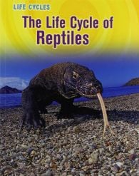Life Cycle of Reptiles, The (Animal Class Life Cycle Series)