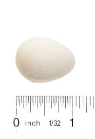 Flicker (Northern) Egg Replica