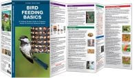 Bird Feeding Basics (Pocket Naturalist® Guide)