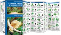 Louisiana Trees & Wildflowers (Pocket Naturalist® Guide)
