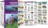 Louisiana Wildlife (Pocket Naturalist® Guide)