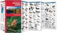 Georgia Birds (Pocket Naturalist® Guide)
