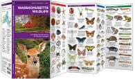 Massachusetts Wildlife (Pocket Naturalist® Guide)