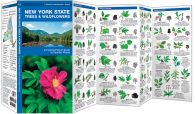 New York State Trees & Wildflowers (Pocket Naturalist® Guide)