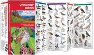 Vermont Birds (Pocket Naturalist® Guide)